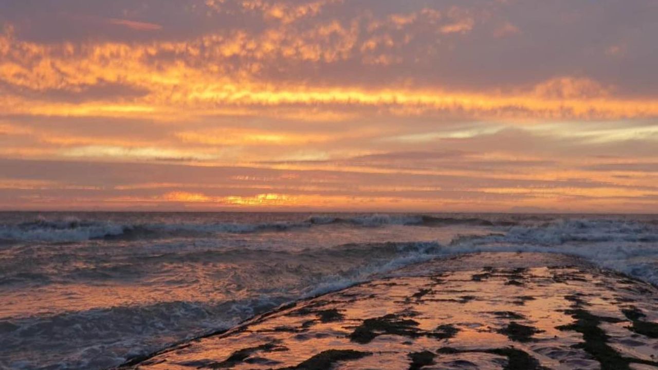 AreaSummer20KM AreaSummer20KM